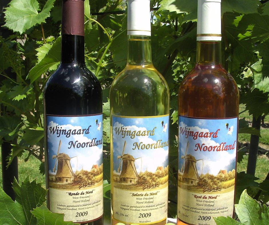 Wijngaard Noordland